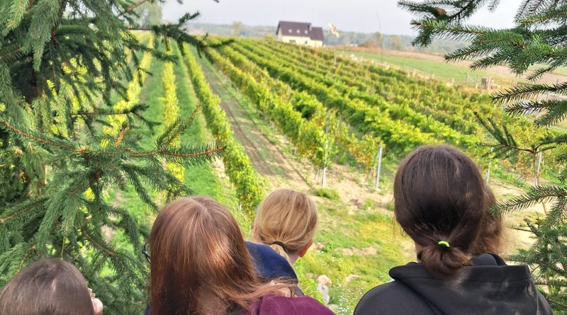🚴🥬Przyszli technicy hotelarstwa odkrywają uroki regionu! 🍇🏺